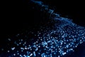 Bio luminescence. Illumination of plankton at Maldives. Many par Royalty Free Stock Photo