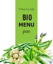 Bio Menu cover with various vegetables. Asparagus, beans, onion, spinach, cabbage, pepper cauliflower Watercolor vectors