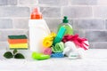 Bio organic natural cleaning supplies. Save the planet concept Royalty Free Stock Photo