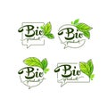 Bio Product, doodle organic leaves emblems, elements, frames an