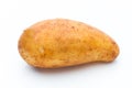 A bio russet potato isolated white background. Royalty Free Stock Photo