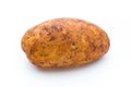 A bio russet potato isolated white background Royalty Free Stock Photo