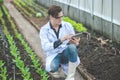 Bio scientist work collecting plant grow condition data in the agriculture farm in table computer Royalty Free Stock Photo