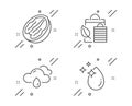 Bio shopping, Pecan nut and Rainy weather icons set. Water drop sign. Leaf, Vegetarian food, Rain. Vector