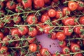 Bio tomatoes farmer's market Royalty Free Stock Photo