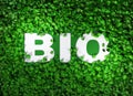 BIO word among the grass Royalty Free Stock Photo