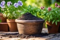 Biochar in a pot and flowers in clay pots with garden in the background. Biochar increases the carbon content of the soil,