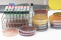 Biochem test kit for identified pathogen.