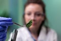 Biochemist scientist woman holding leaf sample analyzing genetically modified organic plants Royalty Free Stock Photo