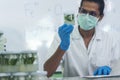 Biochemistry asian Scientist men working plants tissue culture biotechnology in science lab. Biotech Laboratory asian man look at