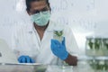Biochemistry asian Scientist men working plants tissue culture biotechnology in science lab. Biotech Laboratory asian man look at