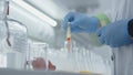Medicine mixing dripping an orange liquid drops in laboratory