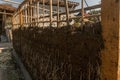 bioconstruction, earthen walls built with straw and mud Royalty Free Stock Photo