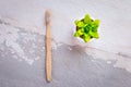 Biodegradable bamboo toothbrush on a granite countertop