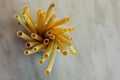 Biodegradable compostable natural straws, made from cane