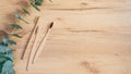 Biodegradable Eco-Friendly Natural Bamboo Charcoal Toothbrush and Green Eucalyptus Leaf on wooden table. Top view with copy space