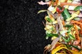 Biodegradable kitchen waste on soil. composting organic food leftovers. copy space Royalty Free Stock Photo