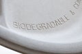 Biodegradable paper plate detail Royalty Free Stock Photo