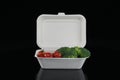 Biodegradable Sugarcane Bagasse Food Container Royalty Free Stock Photo