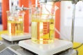Biodiesel production is the process of producing the biofuel, biodiesel. Royalty Free Stock Photo
