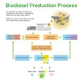 Biodiesel Production Process