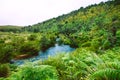 Biodiversity of Horton Plains National Park,Srilanka