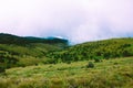 Biodiversity of Horton Plains National Park,Srilanka