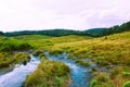 Biodiversity of Horton Plains National Park,Srilanka