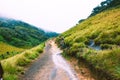 Biodiversity of Horton Plains National Park,Srilanka Royalty Free Stock Photo