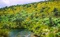 Biodiversity of Horton Plains National Park,Srilanka