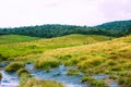 Biodiversity of Horton Plains National Park,Srilanka