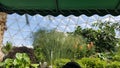 Biodome tropical plants