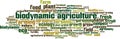 Biodynamic agriculture word cloud Royalty Free Stock Photo