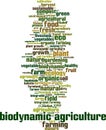 Biodynamic agriculture word cloud Royalty Free Stock Photo