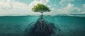 Bioengineered Mangrove Roots Battling Rising Seas. Concept Climate Change, Mangrove Ecosystems,