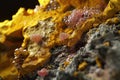 Bioengineered Microorganisms Transforming Minerals for Sustainable Mining Royalty Free Stock Photo