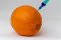 GMO. Bioengineering food, genetically modified product. Experiment on the orange.