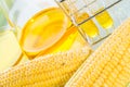 Biofuel or Corn Syrup sweetcorn Royalty Free Stock Photo