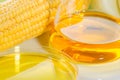 Biofuel or Corn Syrup sweetcorn Royalty Free Stock Photo
