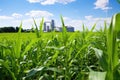 a biofuel plant in a corn field