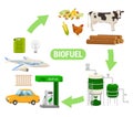 Biofuel Production Flat Scheme