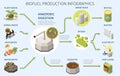 Biofuel Production Infographics