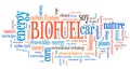 Biofuel word cloud Royalty Free Stock Photo
