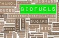 Biofuels Royalty Free Stock Photo
