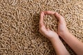 Biofuels. Alternative biofuel from sawdust , wood pellets in han