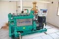 Biogas generator