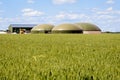 Biogas plant in a green wheat field