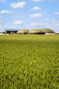 Biogas plant in a green wheat field