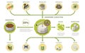 Biogas Production Infographics