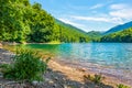Biogradsko lake in summer Royalty Free Stock Photo